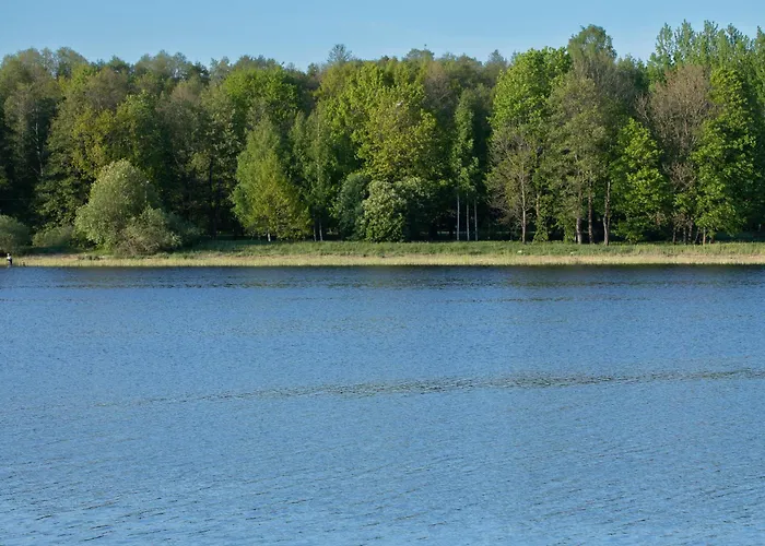 Guest house Sirena 4*